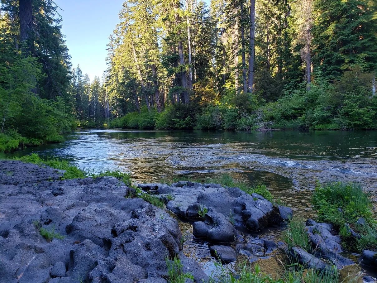 A river scene with volcanic rocks and evergreen trees.