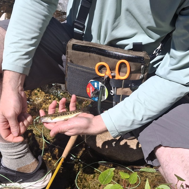 The Sierra Pack is built for long summer days on high mountain streams.